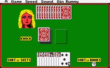 Hoyle's Official Book of Games Volume 1_Disk1 screen shot game playing